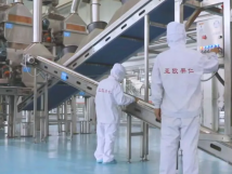 2025年的第一個月，承德亞歐果仁有限公司在山杏產(chǎn)業(yè)的道路上持續(xù)奮進，展現(xiàn)出蓬勃的發(fā)展活力。